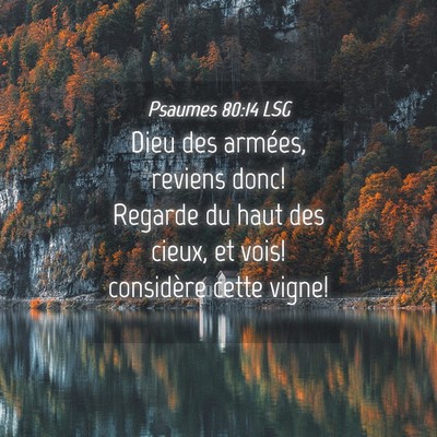 Picture 04 - Psaumes 80:14 LSG - Dieu des armées, reviens donc! Regarde du haut - Bible Verse Picture