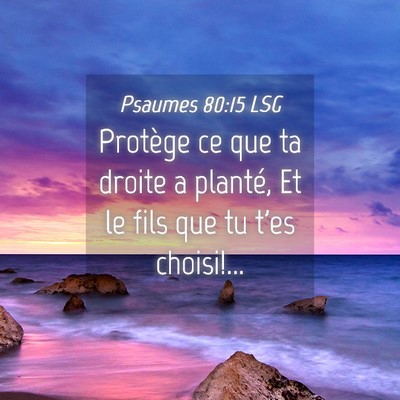 Picture 04 - Psaumes 80:15 LSG - Protège ce que ta droite a planté, Et le fils - Bible Verse Picture