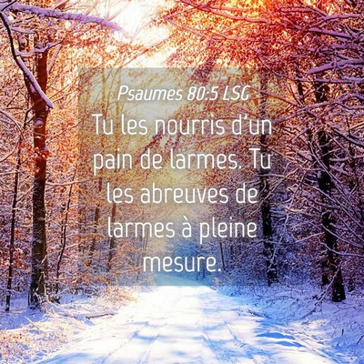 Picture 04 - Psaumes 80:5 LSG - Tu les nourris d'un pain de larmes. Tu les - Bible Verse Picture