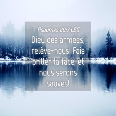 Picture 04 - Psaumes 80:7 LSG - Dieu des armées, relève-nous! Fais briller ta - Bible Verse Picture