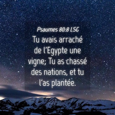 Picture 04 - Psaumes 80:8 LSG - Tu avais arraché de l'Egypte une vigne; Tu as - Bible Verse Picture