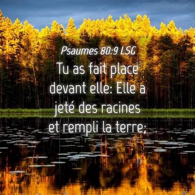 Picture 04 - Psaumes 80:9 LSG - Tu as fait place devant elle: Elle a jeté des - Bible Verse Picture