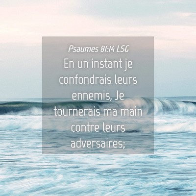Picture 04 - Psaumes 81:14 LSG - En un instant je confondrais leurs ennemis, Je - Bible Verse Picture