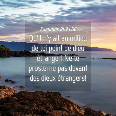 Picture 04 - Psaumes 81:9 LSG - Qu'il n'y ait au milieu de toi point de dieu - Bible Verse Picture