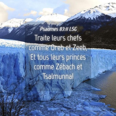 Picture 04 - Psaumes 83:11 LSG - Traite leurs chefs comme Oreb et Zeeb, Et tous - Bible Verse Picture