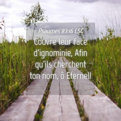 Picture 04 - Psaumes 83:16 LSG - Couvre leur face d'ignominie, Afin qu'ils - Bible Verse Picture
