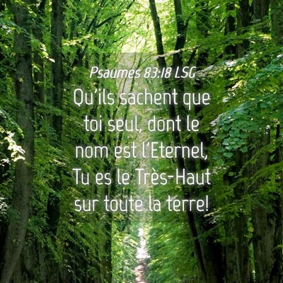 Picture 04 - Psaumes 83:18 LSG - Qu'ils sachent que toi seul, dont le nom est - Bible Verse Picture
