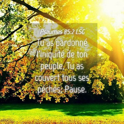Picture 04 - Psaumes 85:2 LSG - Tu as pardonné l'iniquité de ton peuple, Tu as - Bible Verse Picture