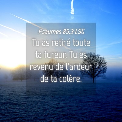 Picture 04 - Psaumes 85:3 LSG - Tu as retiré toute ta fureur, Tu es revenu de - Bible Verse Picture