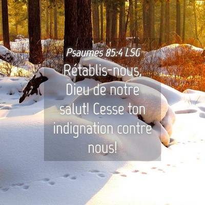 Picture 04 - Psaumes 85:4 LSG - Rétablis-nous, Dieu de notre salut! Cesse ton - Bible Verse Picture