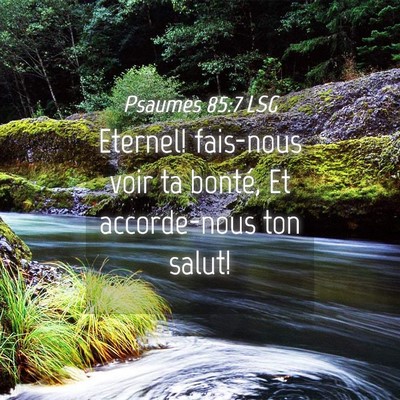 Picture 04 - Psaumes 85:7 LSG - Eternel! fais-nous voir ta bonté, Et - Bible Verse Picture