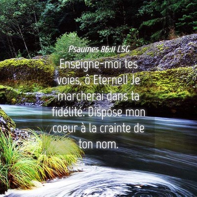 Picture 04 - Psaumes 86:11 LSG - Enseigne-moi tes voies, ô Eternel! Je marcherai - Bible Verse Picture