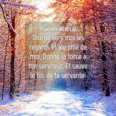 Picture 04 - Psaumes 86:16 LSG - Tourne vers moi les regards et aie pitié de moi, - Bible Verse Picture