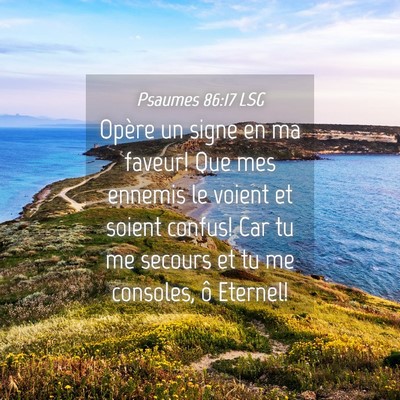 Picture 04 - Psaumes 86:17 LSG - Opère un signe en ma faveur! Que mes ennemis le - Bible Verse Picture
