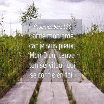 Picture 04 - Psaumes 86:2 LSG - Garde mon âme, car je suis pieux! Mon Dieu, - Bible Verse Picture