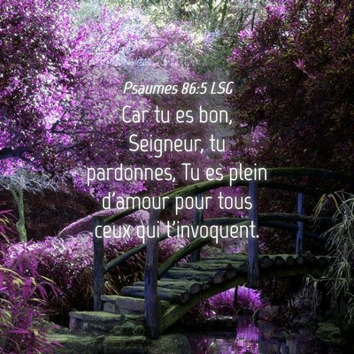 Picture 04 - Psaumes 86:5 LSG - Car tu es bon, Seigneur, tu pardonnes, Tu es - Bible Verse Picture