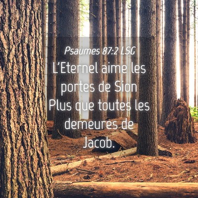 Picture 04 - Psaumes 87:2 LSG - L'Eternel aime les portes de Sion Plus que toutes - Bible Verse Picture