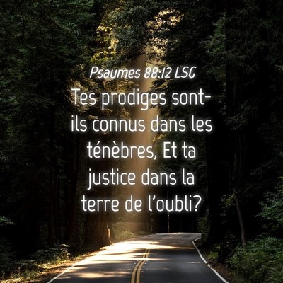 Picture 04 - Psaumes 88:12 LSG - Tes prodiges sont-ils connus dans les ténèbres, - Bible Verse Picture