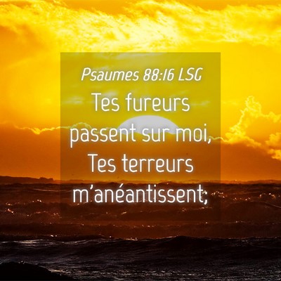 Picture 04 - Psaumes 88:16 LSG - Tes fureurs passent sur moi, Tes terreurs - Bible Verse Picture