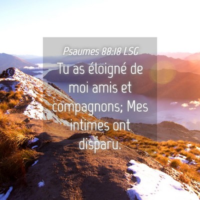 Picture 04 - Psaumes 88:18 LSG - Tu as éloigné de moi amis et compagnons; Mes - Bible Verse Picture