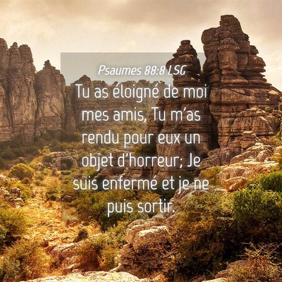 Picture 04 - Psaumes 88:8 LSG - Tu as éloigné de moi mes amis, Tu m'as rendu - Bible Verse Picture
