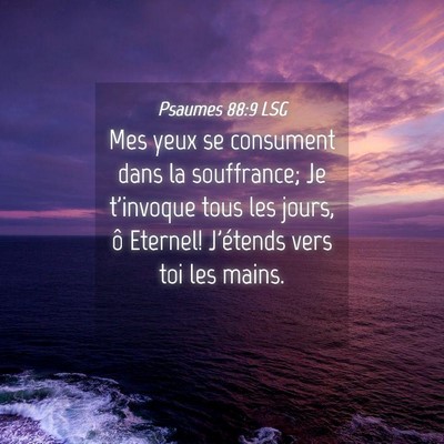 Picture 04 - Psaumes 88:9 LSG - Mes yeux se consument dans la souffrance; Je - Bible Verse Picture