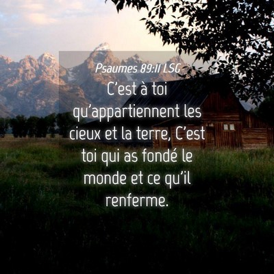 Picture 04 - Psaumes 89:11 LSG - C'est à toi qu'appartiennent les cieux et la - Bible Verse Picture