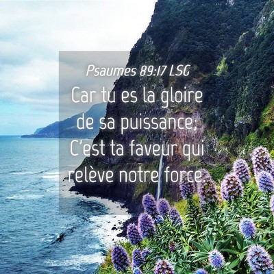 Picture 04 - Psaumes 89:17 LSG - Car tu es la gloire de sa puissance; C'est ta - Bible Verse Picture