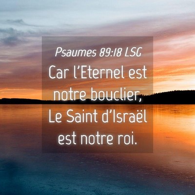 Picture 04 - Psaumes 89:18 LSG - Car l'Eternel est notre bouclier, Le Saint - Bible Verse Picture