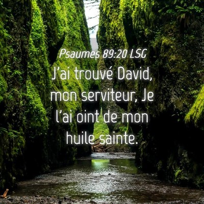 Picture 04 - Psaumes 89:20 LSG - J'ai trouvé David, mon serviteur, Je l'ai oint - Bible Verse Picture