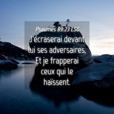 Picture 04 - Psaumes 89:23 LSG - J'écraserai devant lui ses adversaires, Et je - Bible Verse Picture