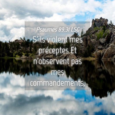 Picture 04 - Psaumes 89:31 LSG - S'ils violent mes préceptes Et n'observent pas - Bible Verse Picture