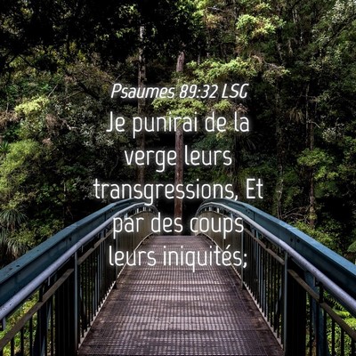 Picture 04 - Psaumes 89:32 LSG - Je punirai de la verge leurs transgressions, Et - Bible Verse Picture
