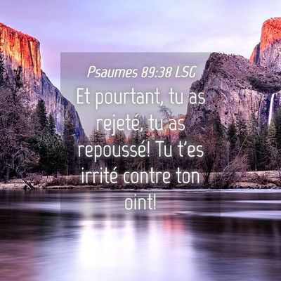 Picture 04 - Psaumes 89:38 LSG - Et pourtant, tu as rejeté, tu as repoussé! Tu - Bible Verse Picture