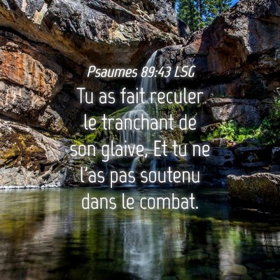 Picture 04 - Psaumes 89:43 LSG - Tu as fait reculer le tranchant de son glaive, Et - Bible Verse Picture