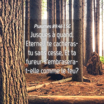 Picture 04 - Psaumes 89:46 LSG - Jusques à quand, Eternel! te cacheras-tu sans - Bible Verse Picture