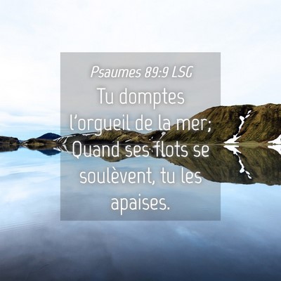 Picture 04 - Psaumes 89:9 LSG - Tu domptes l'orgueil de la mer; Quand ses flots - Bible Verse Picture