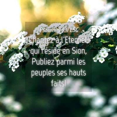 Picture 04 - Psaumes 9:11 LSG - Chantez à l'Eternel, qui réside en Sion, - Bible Verse Picture