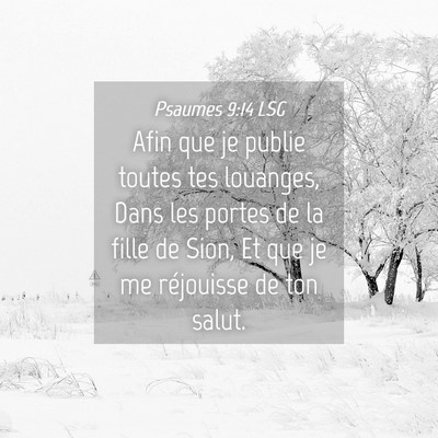 Picture 04 - Psaumes 9:14 LSG - Afin que je publie toutes tes louanges, Dans les - Bible Verse Picture