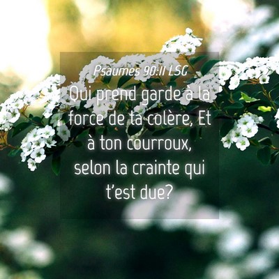 Picture 04 - Psaumes 90:11 LSG - Qui prend garde à la force de ta colère, Et à - Bible Verse Picture