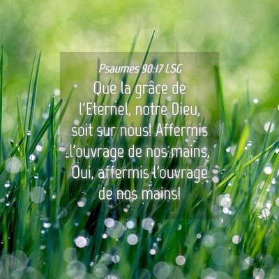 Picture 04 - Psaumes 90:17 LSG - Que la grâce de l'Eternel, notre Dieu, soit sur - Bible Verse Picture