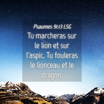 Picture 04 - Psaumes 91:13 LSG - Tu marcheras sur le lion et sur l'aspic, Tu - Bible Verse Picture