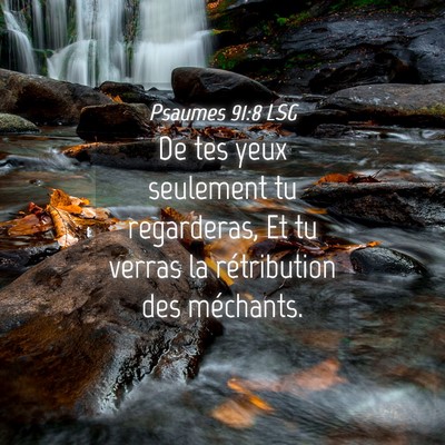 Picture 04 - Psaumes 91:8 LSG - De tes yeux seulement tu regarderas, Et tu verras - Bible Verse Picture