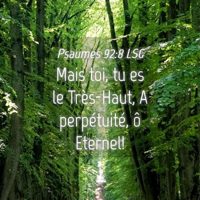 Picture 04 - Psaumes 92:8 LSG - Mais toi, tu es le Très-Haut, A perpétuité, ô - Bible Verse Picture