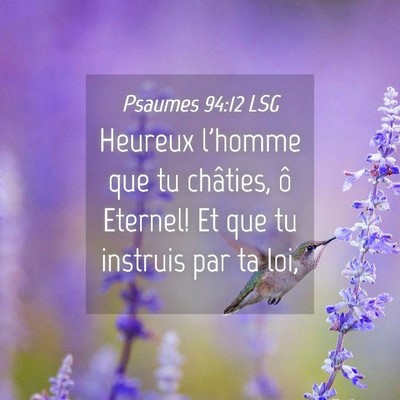 Picture 04 - Psaumes 94:12 LSG - Heureux l'homme que tu châties, ô Eternel! Et - Bible Verse Picture