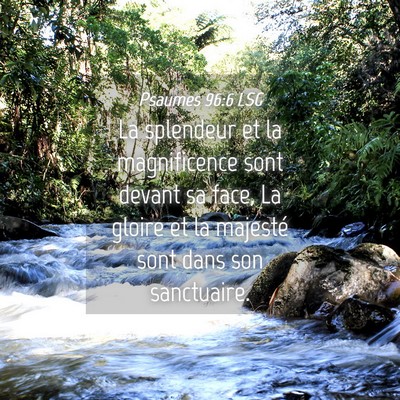 Picture 04 - Psaumes 96:6 LSG - La splendeur et la magnificence sont devant sa - Bible Verse Picture