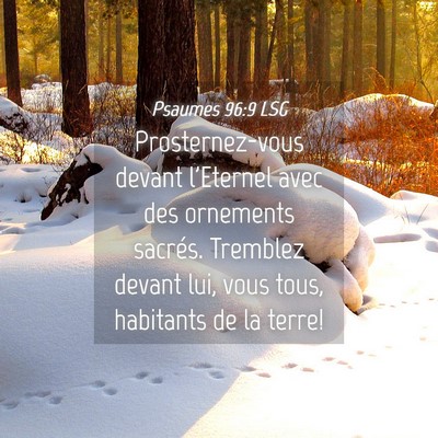 Picture 04 - Psaumes 96:9 LSG - Prosternez-vous devant l'Eternel avec des - Bible Verse Picture