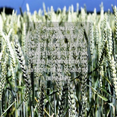 Picture 04 - Psaumes 98:3 LSG - Il s'est souvenu de sa bonté et de sa fidélité - Bible Verse Picture
