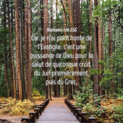 Picture 04 - Romains 1:16 LSG - Car je n'ai point honte de l'Evangile: c'est une - Bible Verse Picture