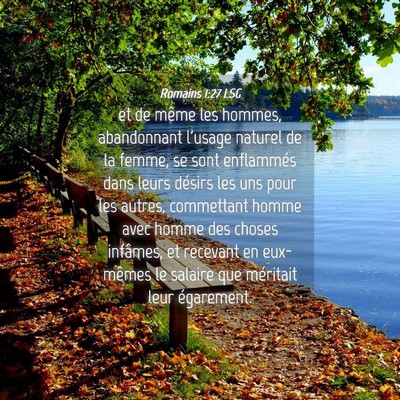 Picture 04 - Romains 1:27 LSG - et de même les hommes, abandonnant l'usage - Bible Verse Picture